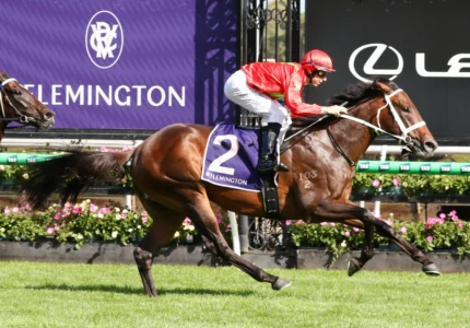 2026 CS Hayes Stakes winner Sixties