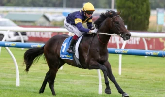 Big Sky Heads 2026 Blue Diamond Stakes Field & Odds