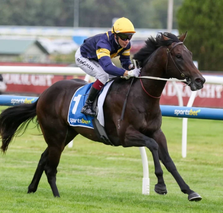 Big Sky Heads 2026 Blue Diamond Stakes Field & Odds