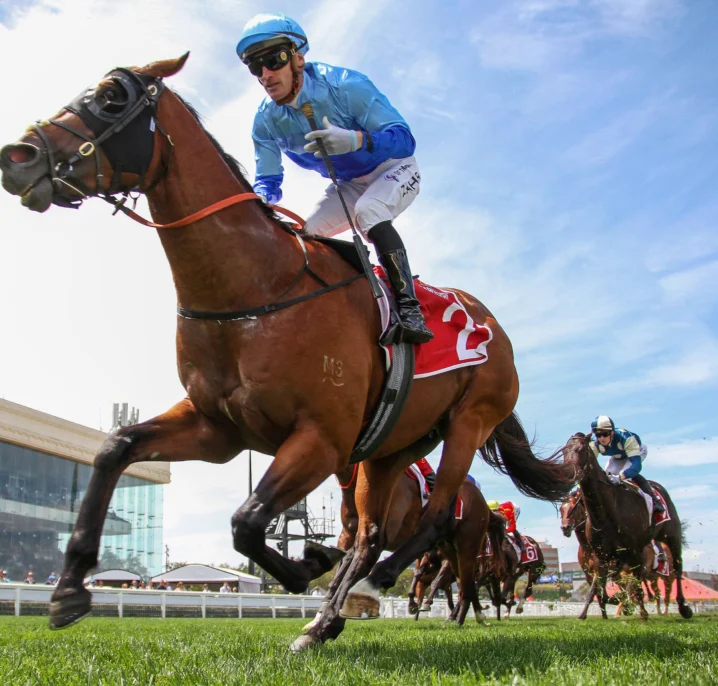 2026 Oakleigh Plate Field & Odds Update: Punters Come for Point Barrow