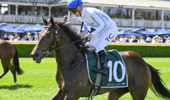 Shiki Favourite in Open 2026 Silver Slipper Stakes Field