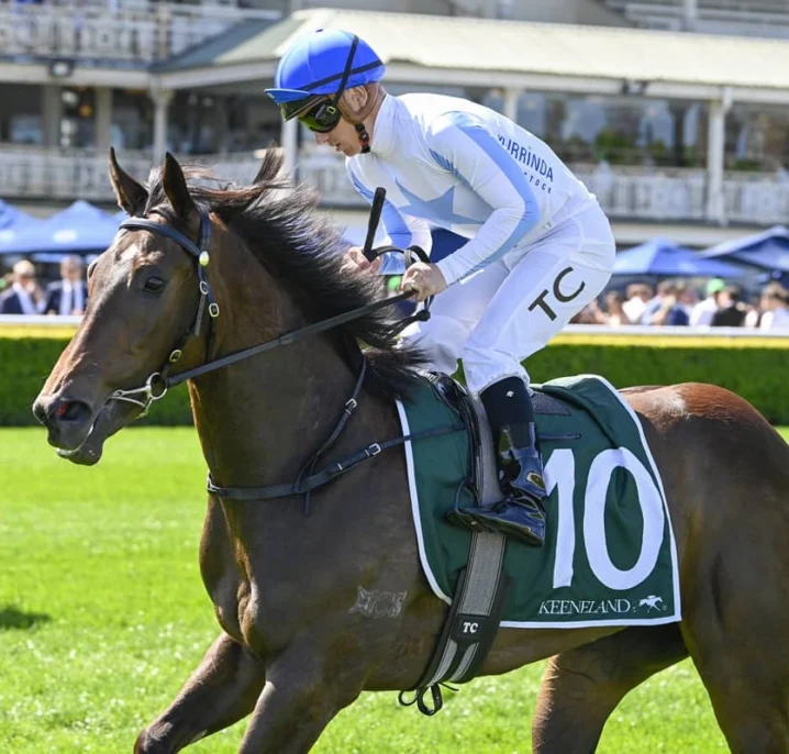 Shiki Favourite in Open 2026 Silver Slipper Stakes Field