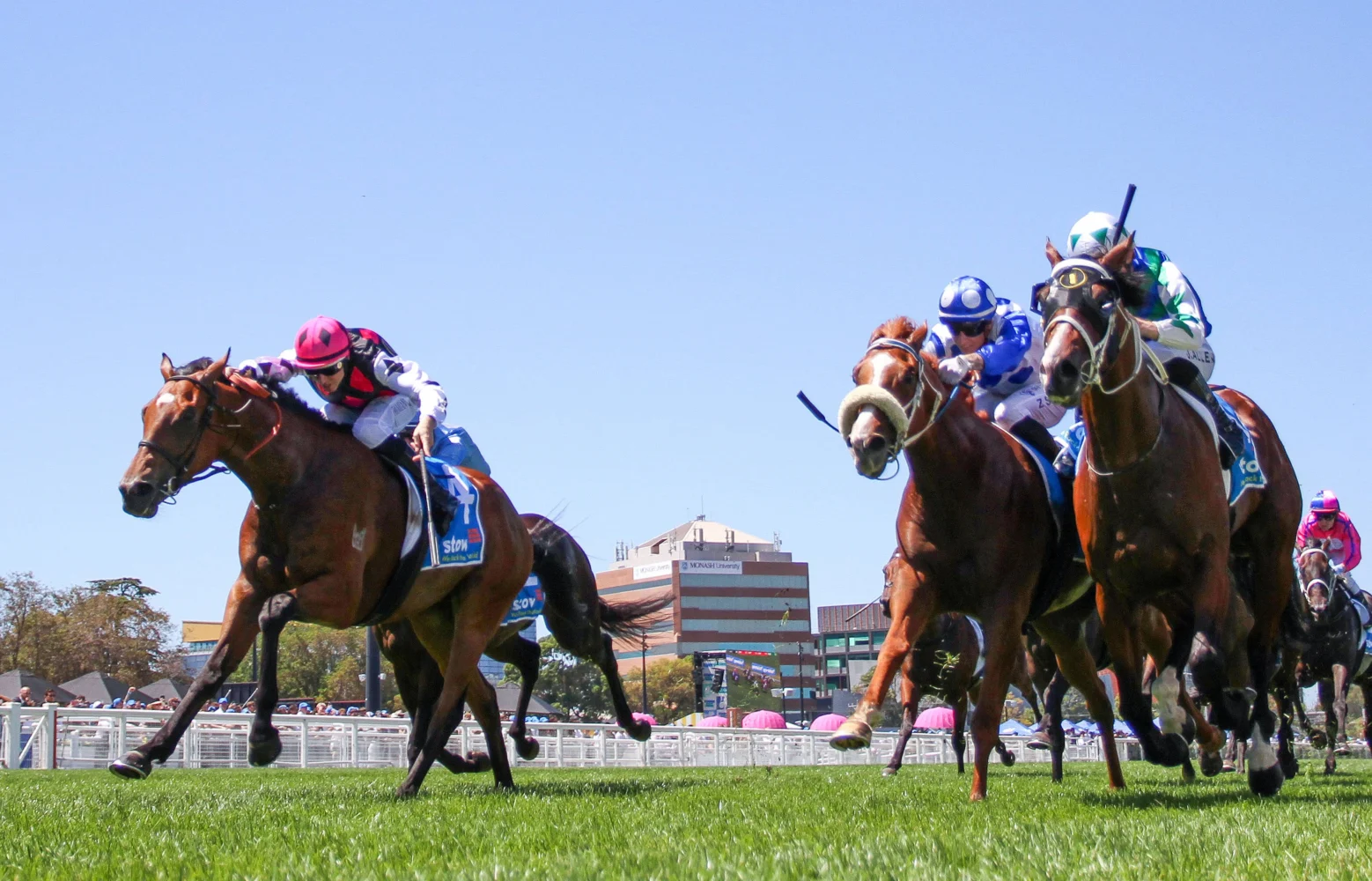 2026 Autumn Classic winner Single Choice