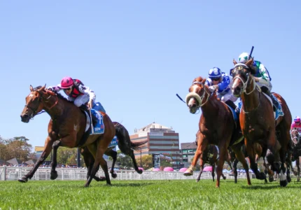 2026 Autumn Classic winner Single Choice