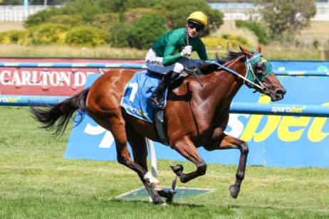 2026 Angus Armanasco Stakes winner Sheza Alibi