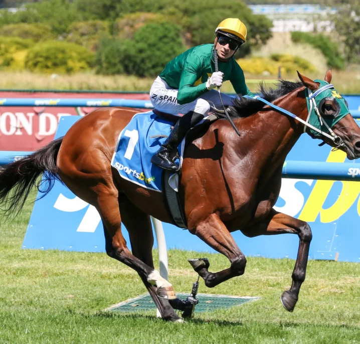2026 Randwick Guineas Field & Odds: Sheza Alibi vs Autumn Boy