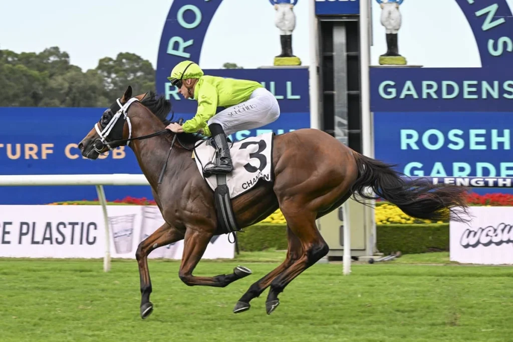 2026 Silver Slipper Stakes winner Stretan Ruler