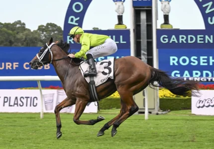 2026 Silver Slipper Stakes winner Stretan Ruler