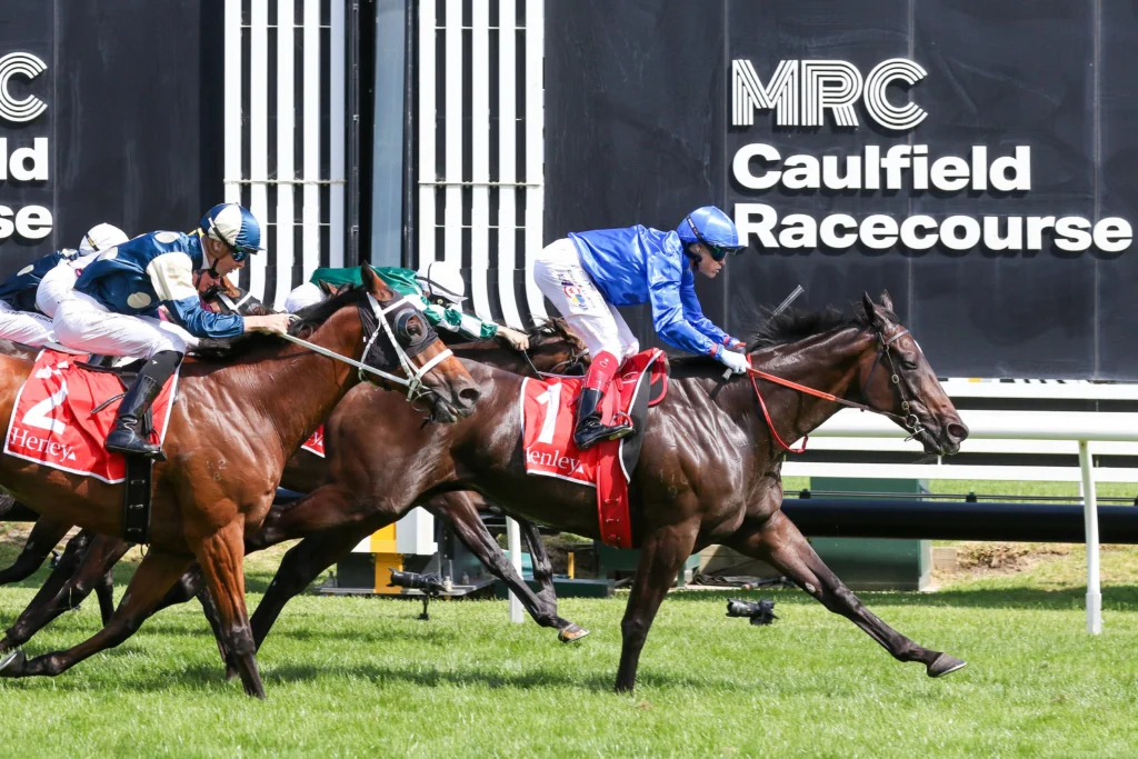 2026 Futurity Stakes winner Pericles