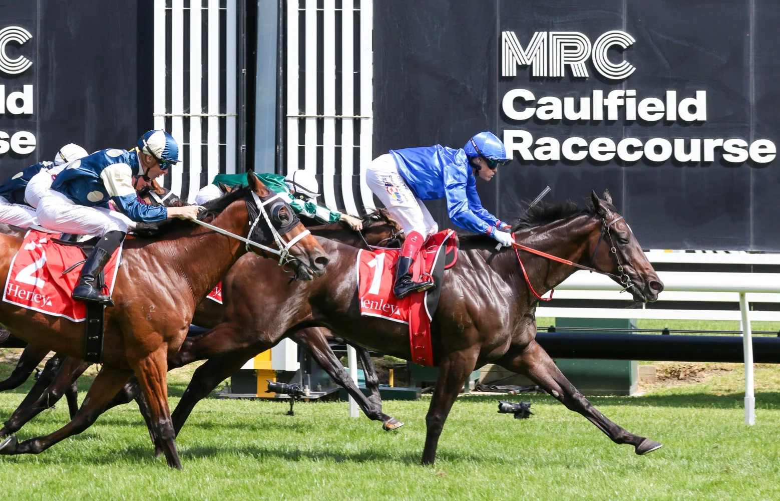 2026 Futurity Stakes winner Pericles