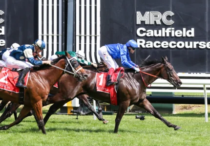 2026 Futurity Stakes winner Pericles