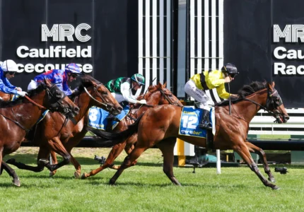 2026 Blue Diamond Stakes winner Streisand