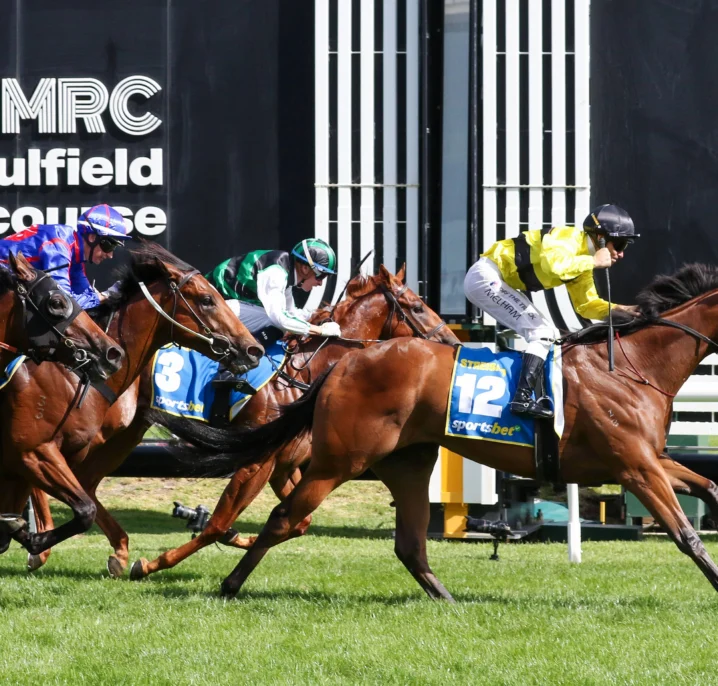 2026 Blue Diamond Stakes Results: Streisand Beats Home the Boys