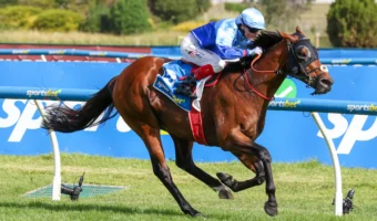 Tropicus Wins 2026 Oakleigh Plate First-Up