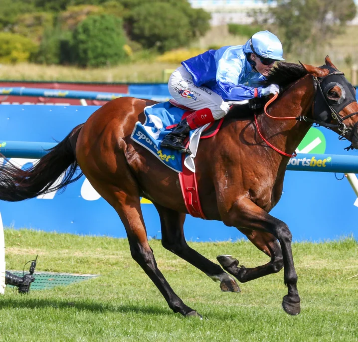 Tropicus Wins 2026 Oakleigh Plate First-Up