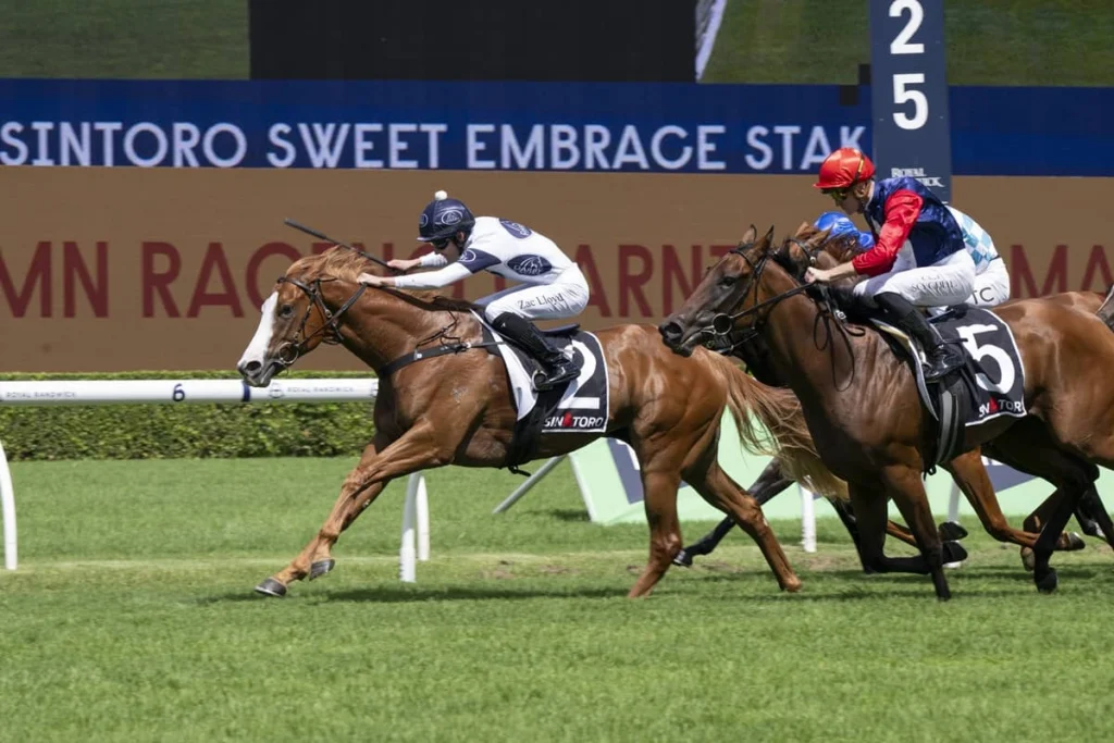 2026 Sweet Embrace Stakes winner Spicy Miss