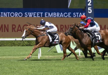 2026 Sweet Embrace Stakes winner Spicy Miss