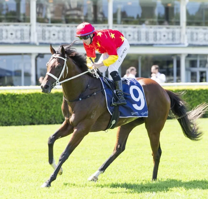 2026 Inglis Sires’ Winner Campione D’italia Firms into Champagne Stakes Favouritism