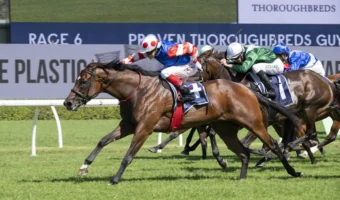 Guy Walter Winner Verona Rose Firms in 2026 Coolmore Classic Betting