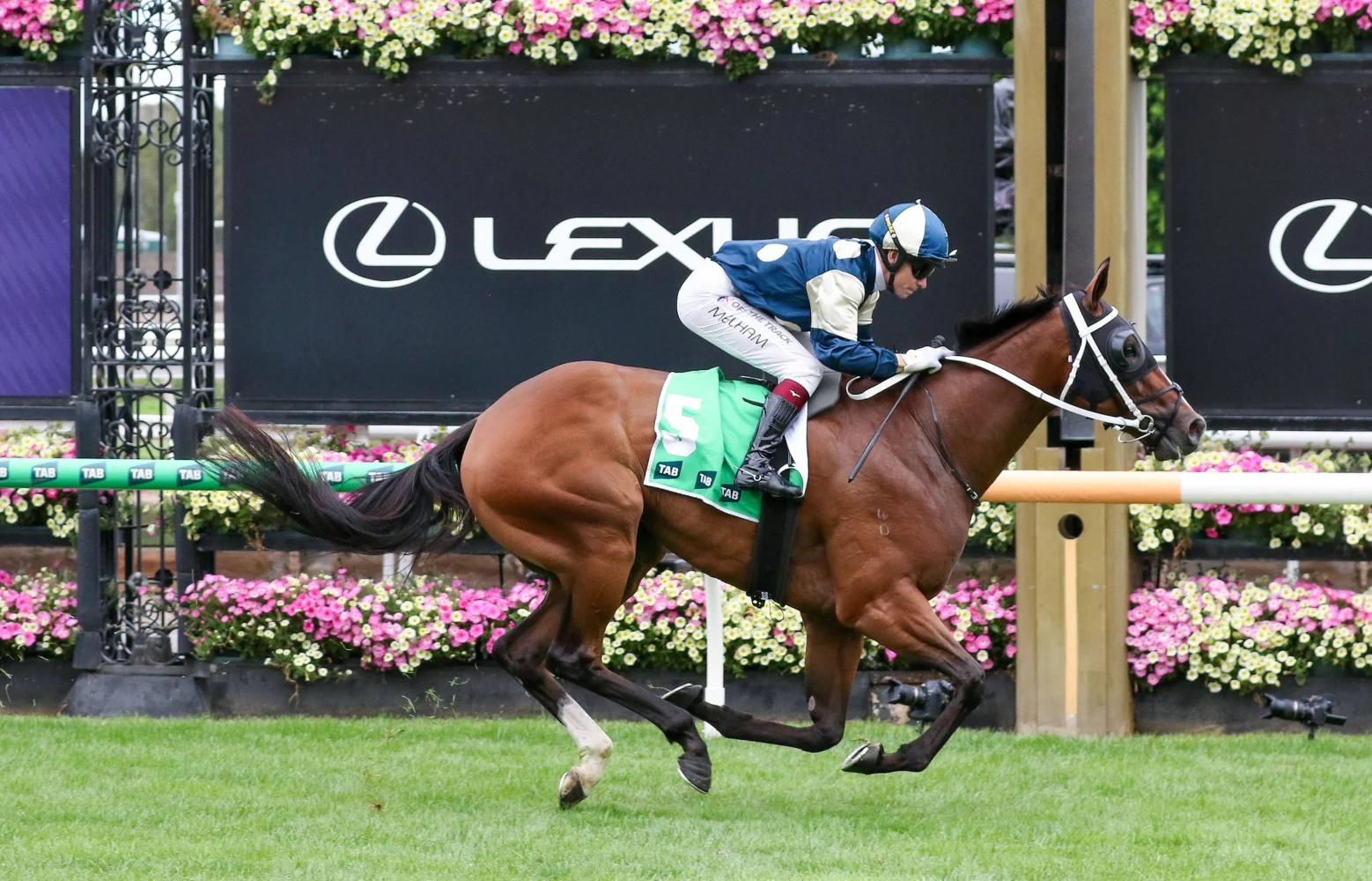 2026 Blamey Stakes winner Birdman