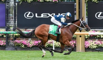 2026 Blamey Stakes Results: Birdman Flies into Australian Cup Contention