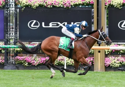 2026 Blamey Stakes winner Birdman