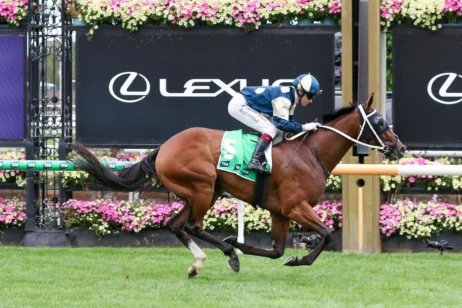 2026 Blamey Stakes winner Birdman