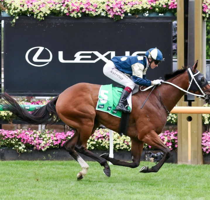 Birdman Heads 2026 Australian Cup Field & Betting