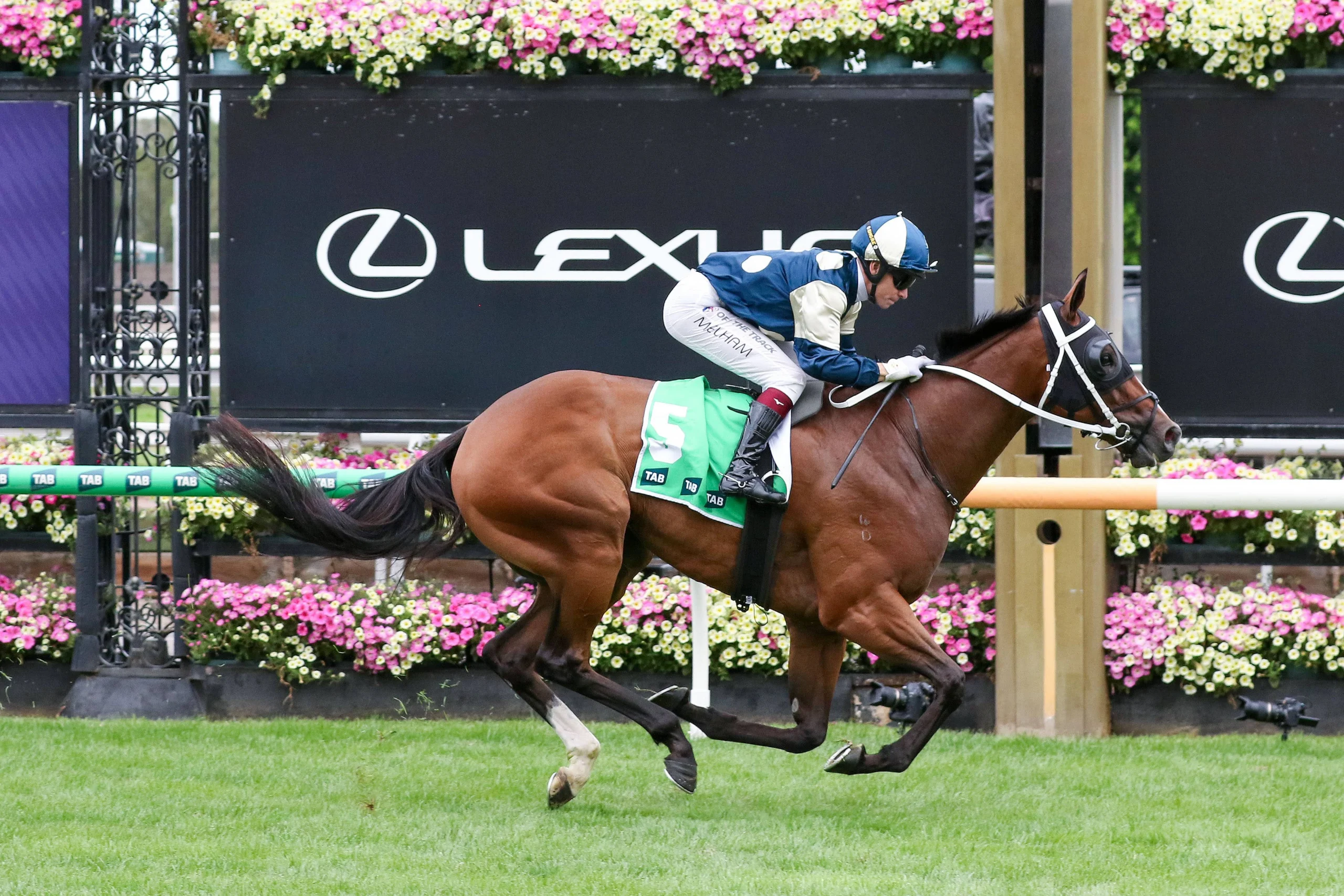 2026 Blamey Stakes winner Birdman