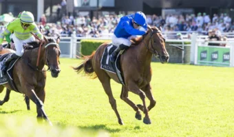 Maher Tempted by TJ Smith For His Surround Stakes 2026 Winner