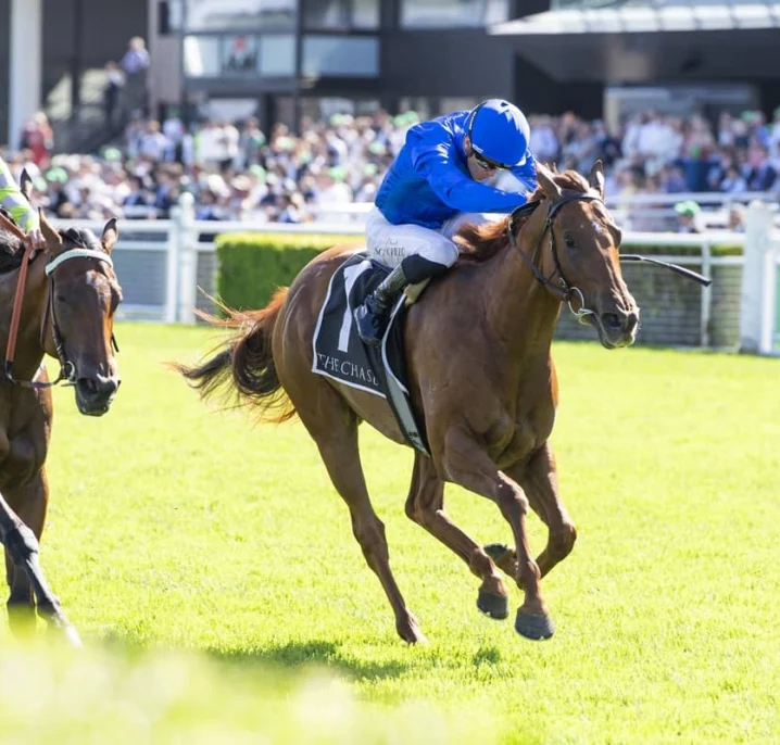 Maher Tempted by TJ Smith For His Surround Stakes 2026 Winner