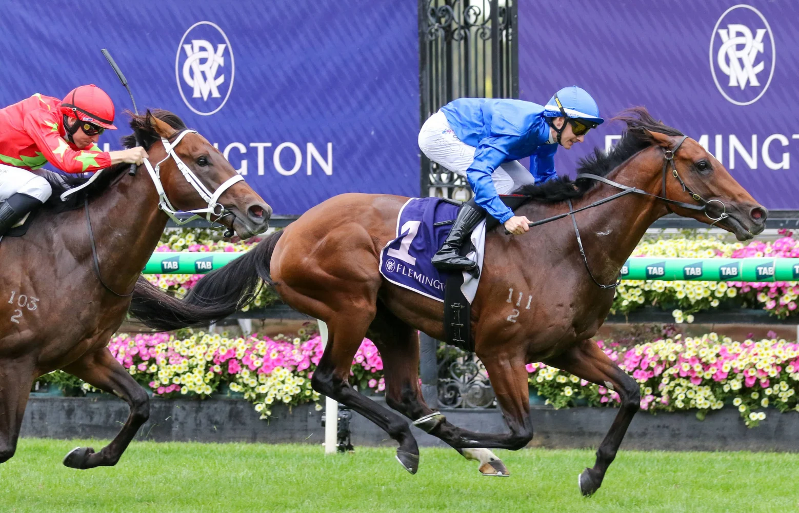 2026 Australian Guineas winner Observer