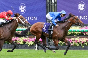 2026 Australian Guineas winner Observer