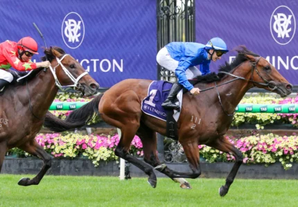 2026 Australian Guineas winner Observer
