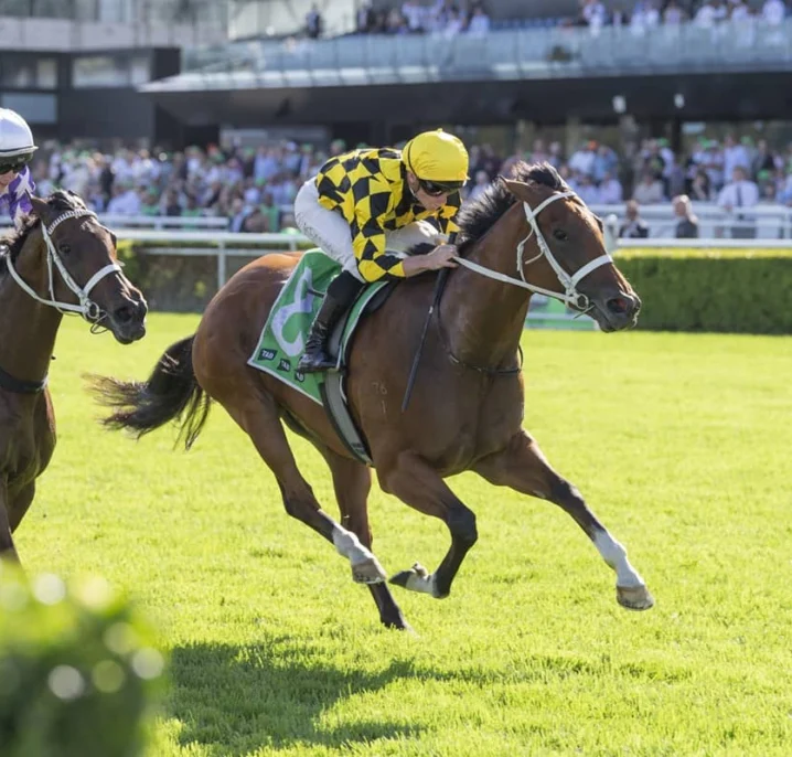 2026 Verry Elleegant Stakes Results: Autumn Glow Shines Again, Remains Undefeated
