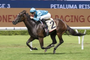 2026 Reisling Stakes winner Chayan