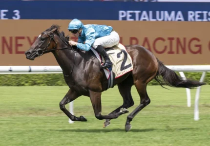 2026 Reisling Stakes winner Chayan