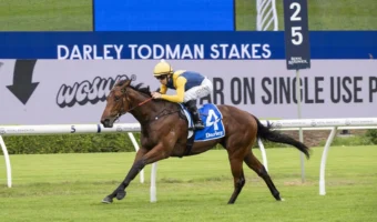 Todman Winner Paradoxium Races Into 2026 Golden Slipper Favouritism