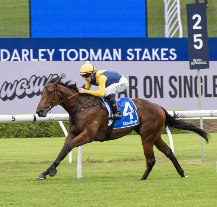 Todman Winner Paradoxium Races Into 2026 Golden Slipper Favouritism