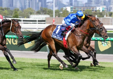 2026 All-Star Mile winner Tom Kitten