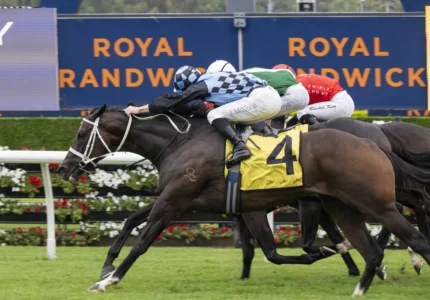 2026 Challenge Stakes winner Generosity