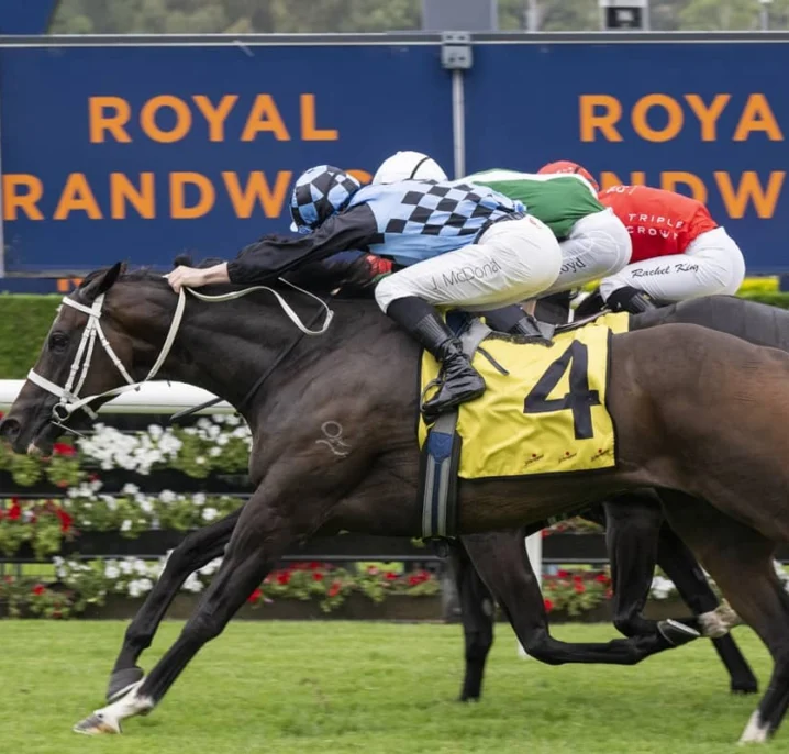 The Galaxy Calls for Shock 2026 Challenge Stakes Winner Generosity