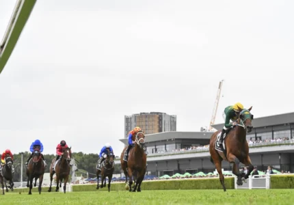 2026 Randwick Guineas winner Sheza Alibi