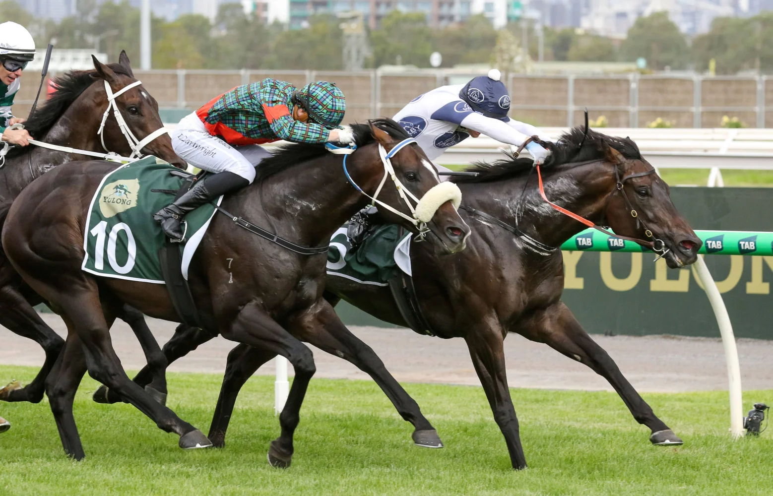 2026 Newmarket Handicap winner Caballus