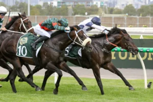 2026 Newmarket Handicap winner Caballus