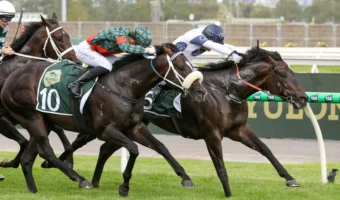 Newmarket Handicap 2026 Results: Caballus Scores Upset Win