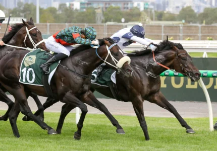 2026 Newmarket Handicap winner Caballus