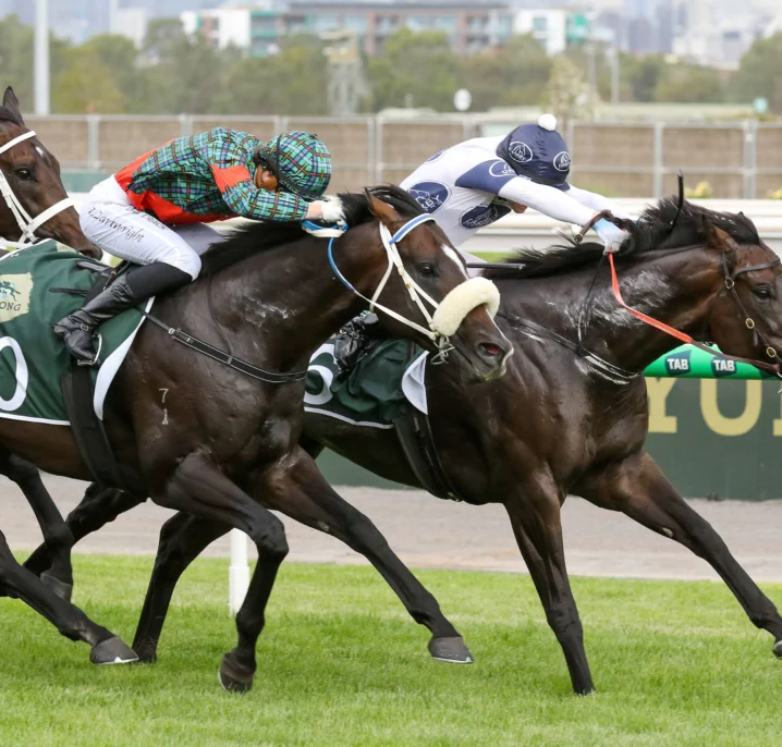 Newmarket Handicap 2026 Results: Caballus Scores Upset Win