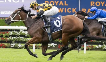 2026 Canterbury Stakes Winner Joliestar Secures 4th Group 1 Victory