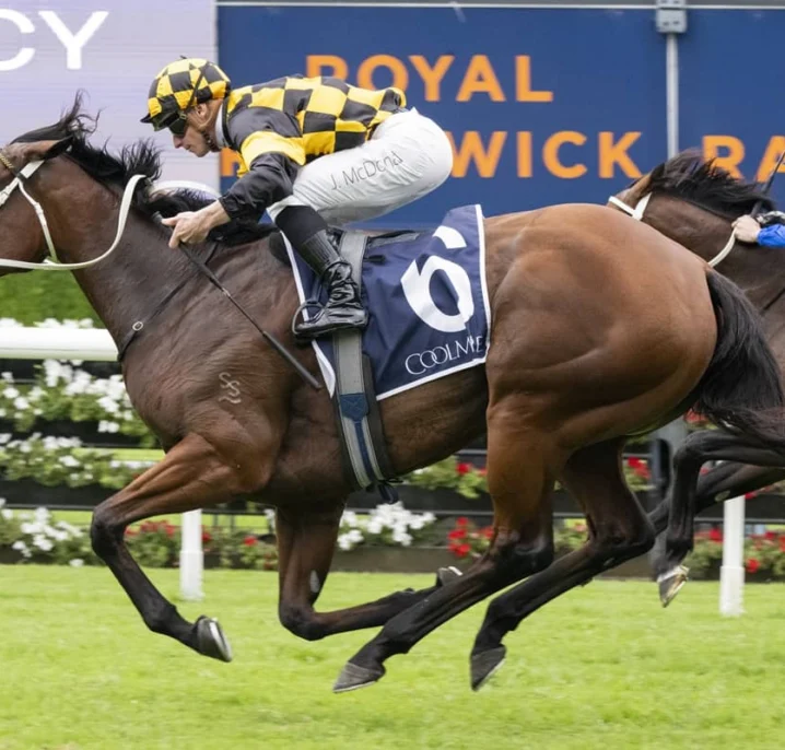 2026 Canterbury Stakes Winner Joliestar Secures 4th Group 1 Victory